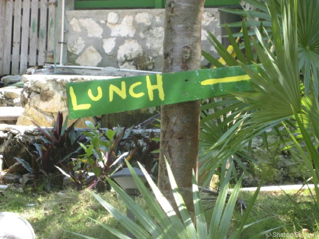 Lunch - ID: 3779430 © Sharon E. Lowe