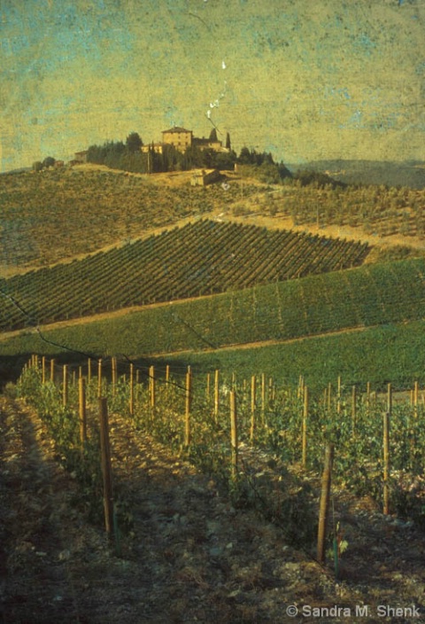 Tuscan Hillside