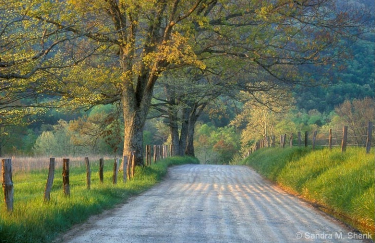 Sparks Lane, Cades Cove