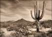 Old West