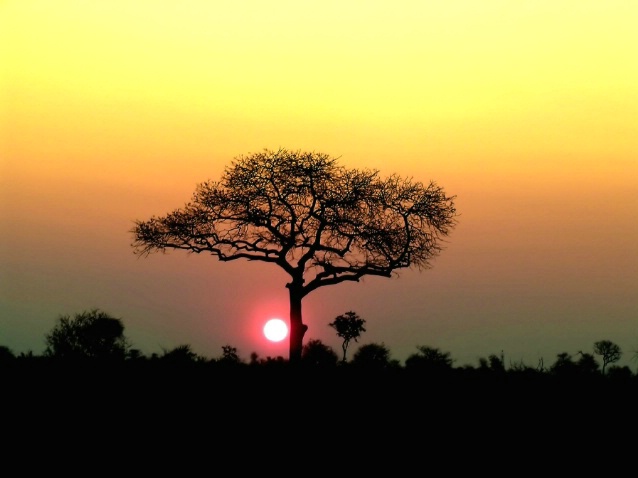 African Sunset