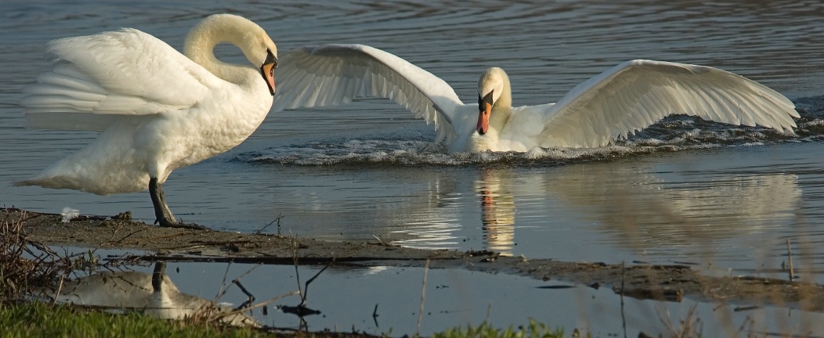 Lovers Landing