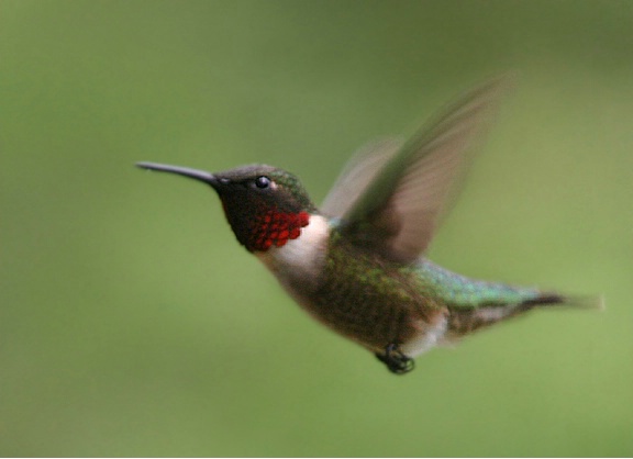 In Flight