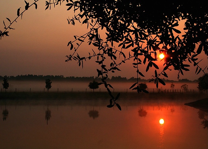 Sunrise Reflection