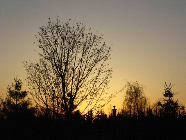 img7