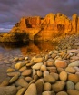 Golden Cove