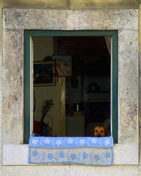 Window in Alfama District, Lisbon - April 2007