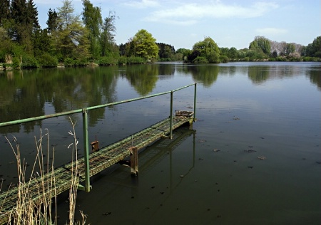 deserted pond