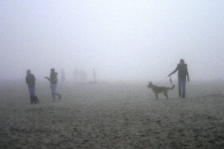 Walk in the fog