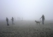 Walk in the fog