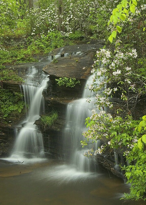 Wildcat Falls, Mt. Laurel, Clemson Forest - ID: 3798063 © george w. sharpton