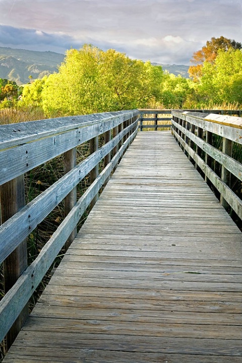 Wooden Walkway 2, Lake Los Carneros