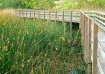 Wooden Walkway, L...