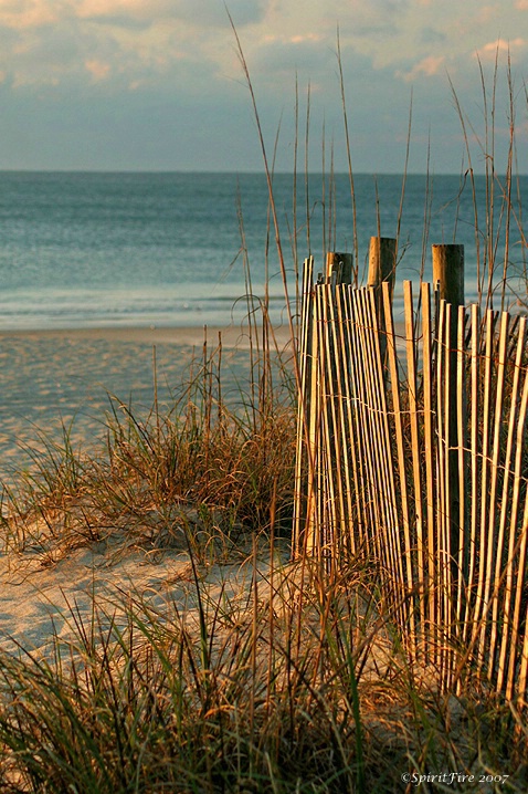 Beach Scene Morning