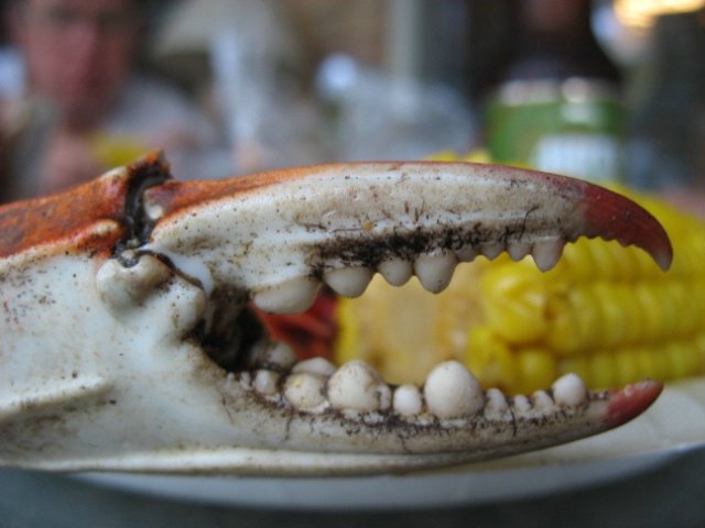 Louisiana Crab Claw