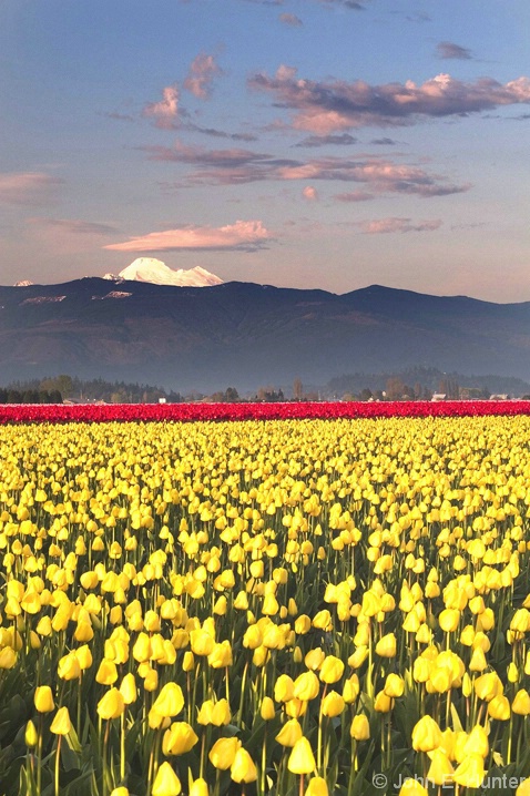 Mt. Baker from Skagit Valley - ID: 3805771 © John E. Hunter