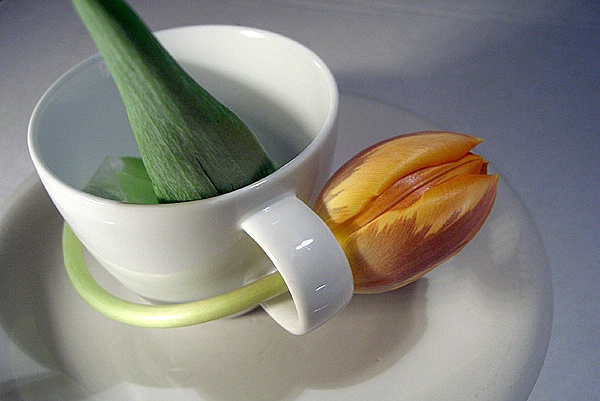 Tea Cup design w/tulip