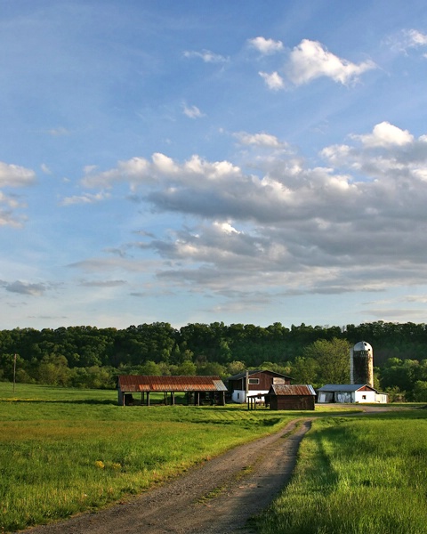 North Branch Farm