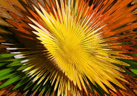 Explosion of Yellow