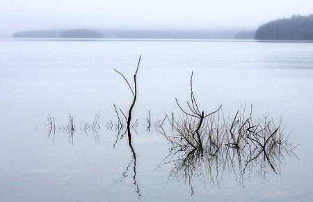 Misty Morning on the Lake
