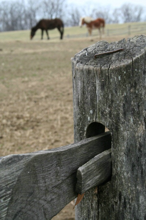 Fence At Mt. Vernon