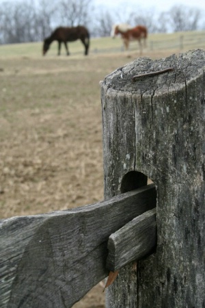 Fence At Mt. Vernon