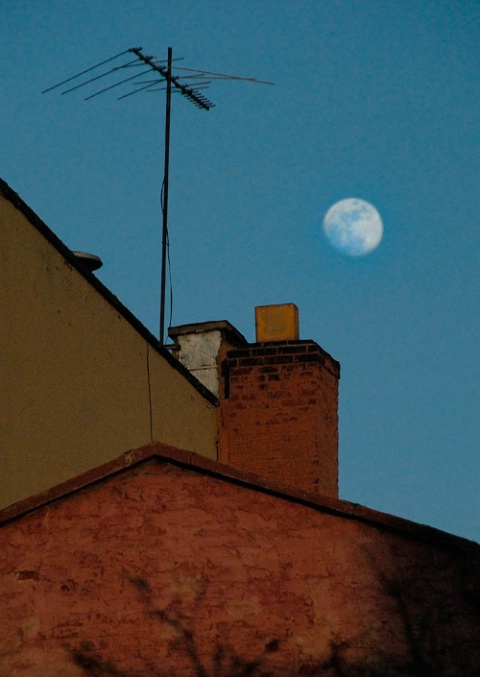 Moon over Brooklyn