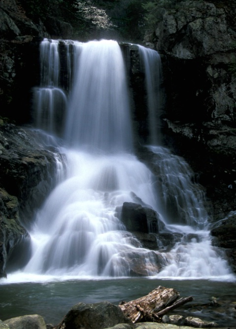 Spivey Falls - ID: 3841856 © Bob Peterson