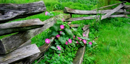 Morning Glories 3