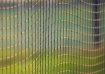Batting Net 2