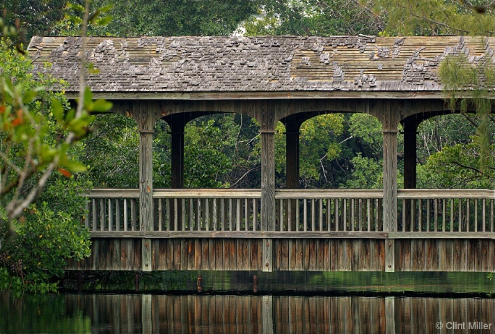 bridge in the everglades