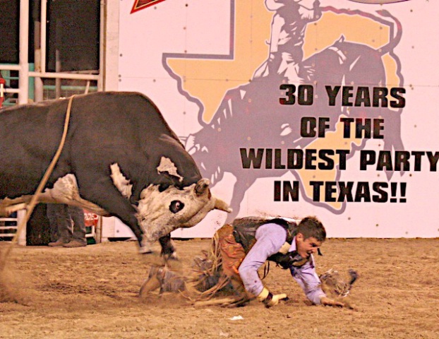 Wildest Party in Texas (Bulleye) - ID: 3846386 © Emile Abbott