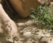 A Small Corner of...