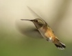 In Flight