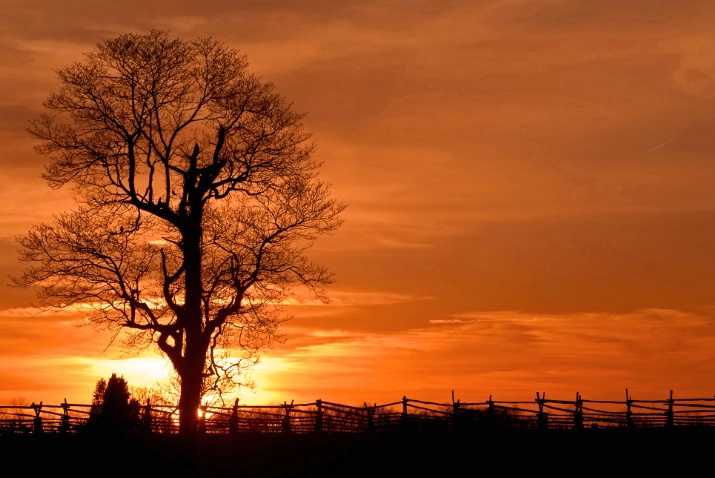 Battlefield Sunset - ID: 3853038 © Don Johnson
