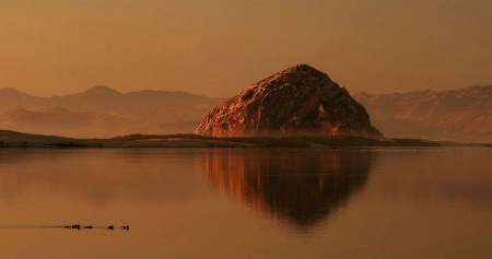 Morro Rock Reflection