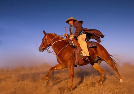 A Cowboy and His Horse