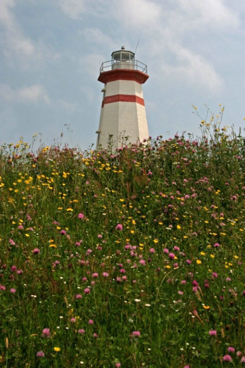 Cape Ray LIghthouse