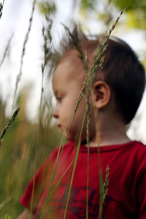 Through the weeds