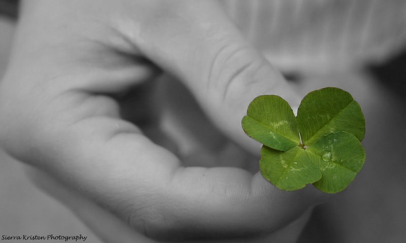 4-leaf clover