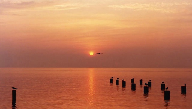 Orange Sunrise