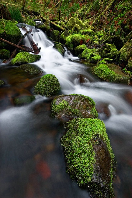 Eagle Creek Tributary