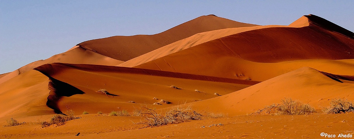 Red dunes.