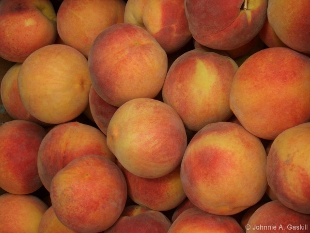 cimg3295--"Peaches, Peaches, Peaches"
