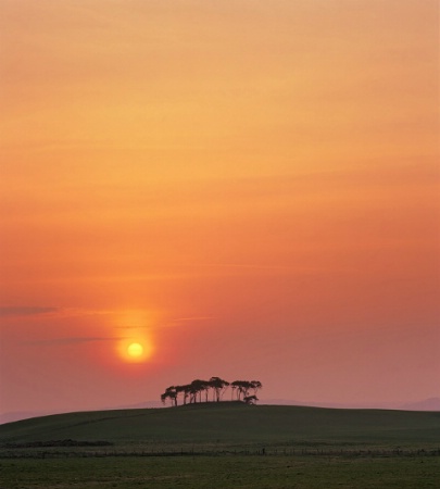 Sun Sink Nairn