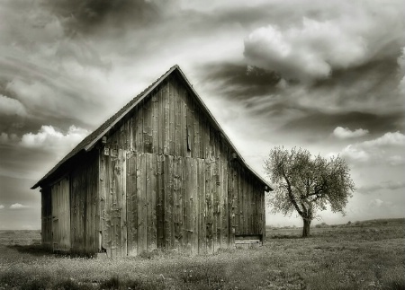 Barn