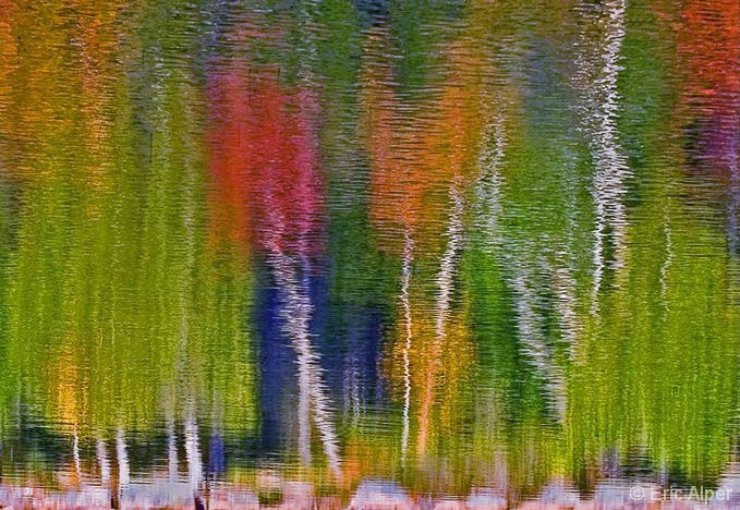 Acadia Abstract--Fall reflection
