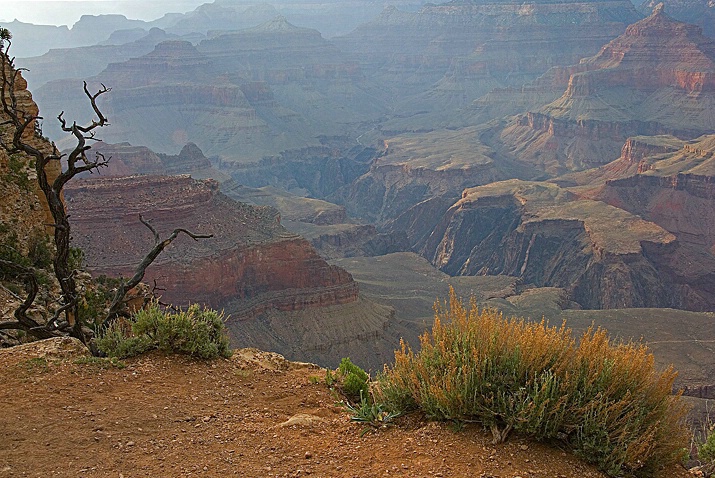 Grand Canyon - ID: 3907264 © Donald R. Curry