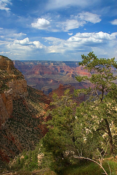 Grand Canyon - ID: 3907270 © Donald R. Curry