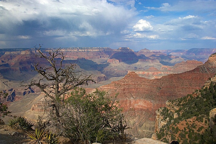 Grand Canyon - ID: 3907276 © Donald R. Curry
